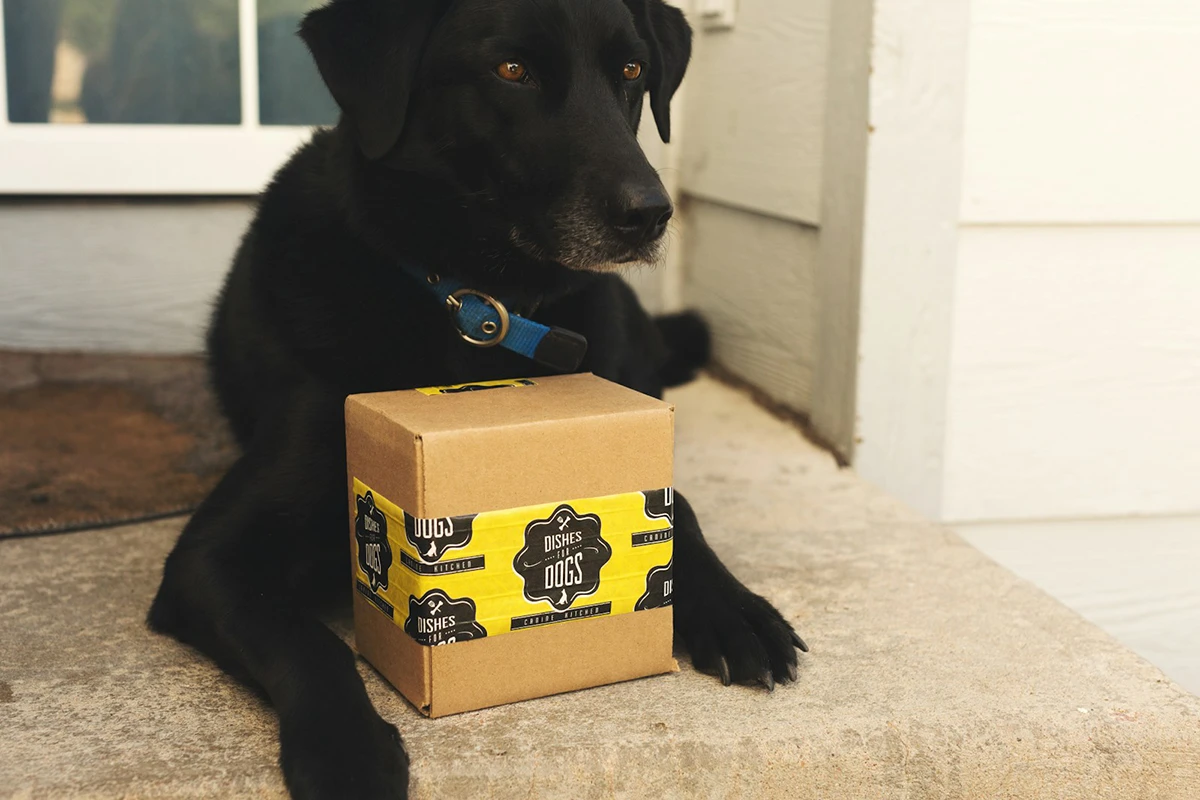 Black Dog
