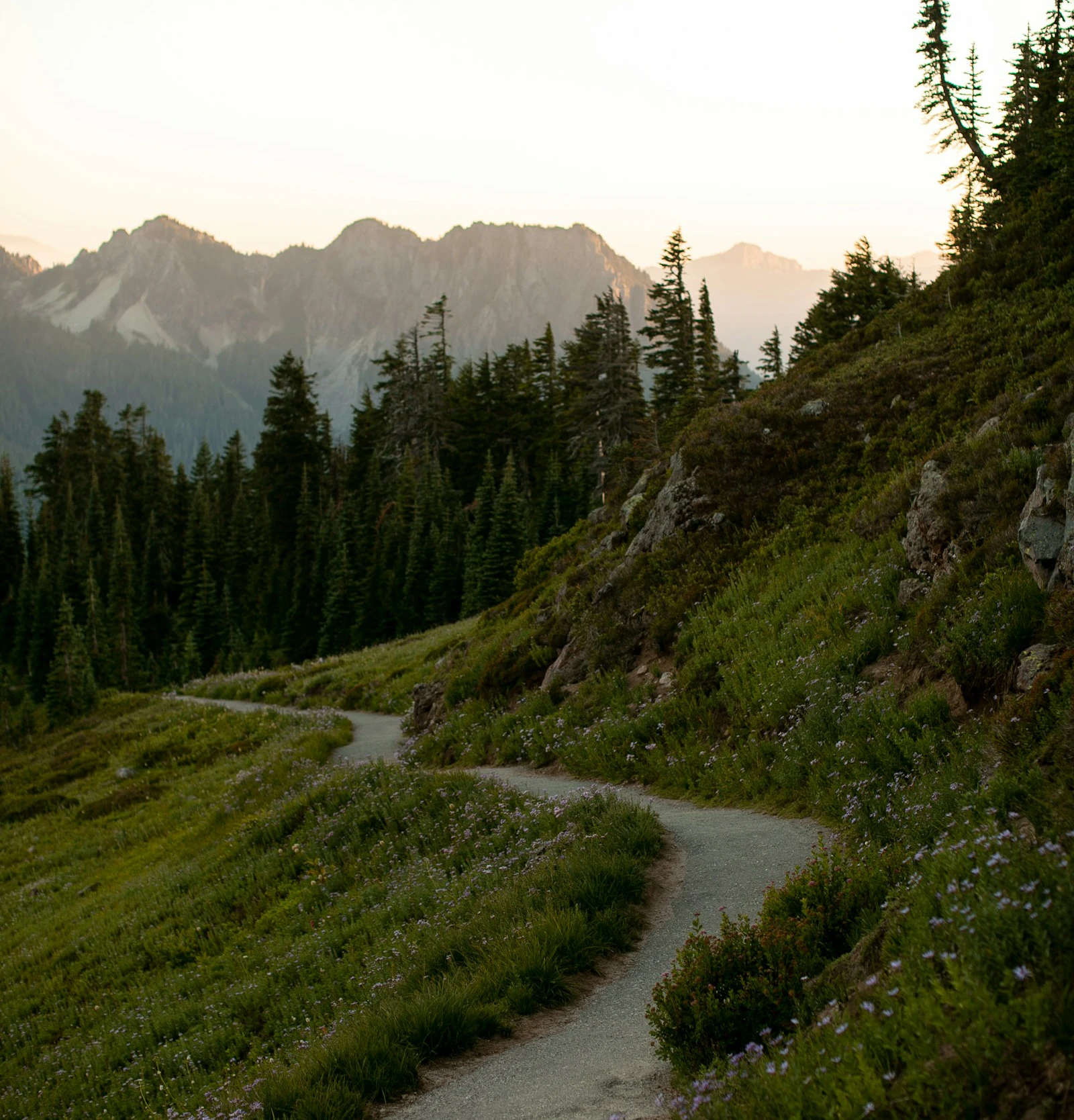 National Park Scenery