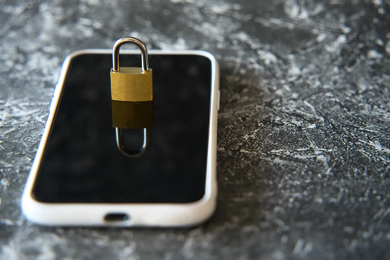 phone security image