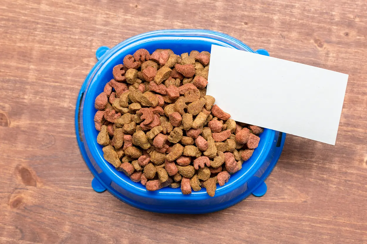 dog food
