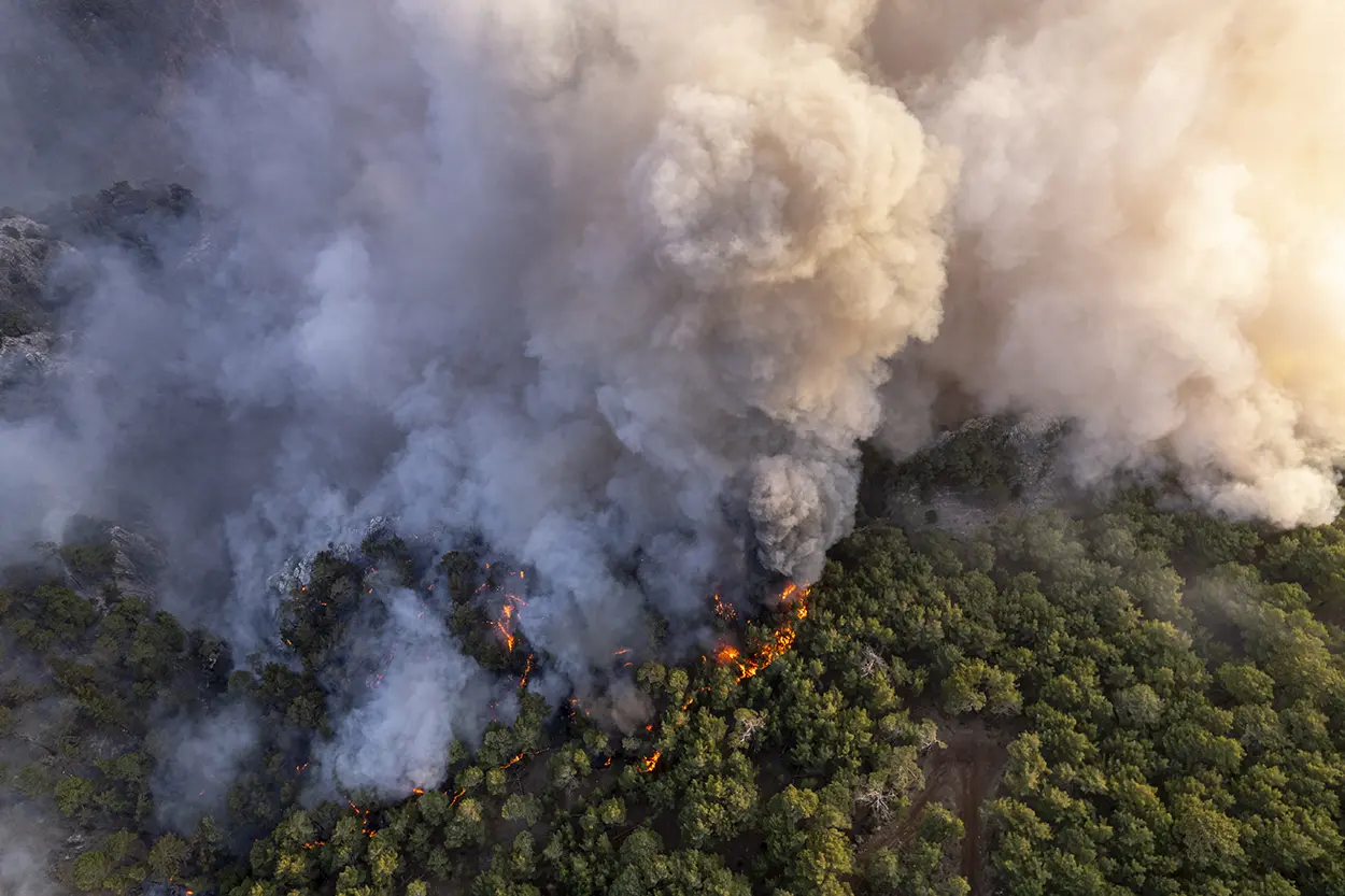 prepare for wildfires